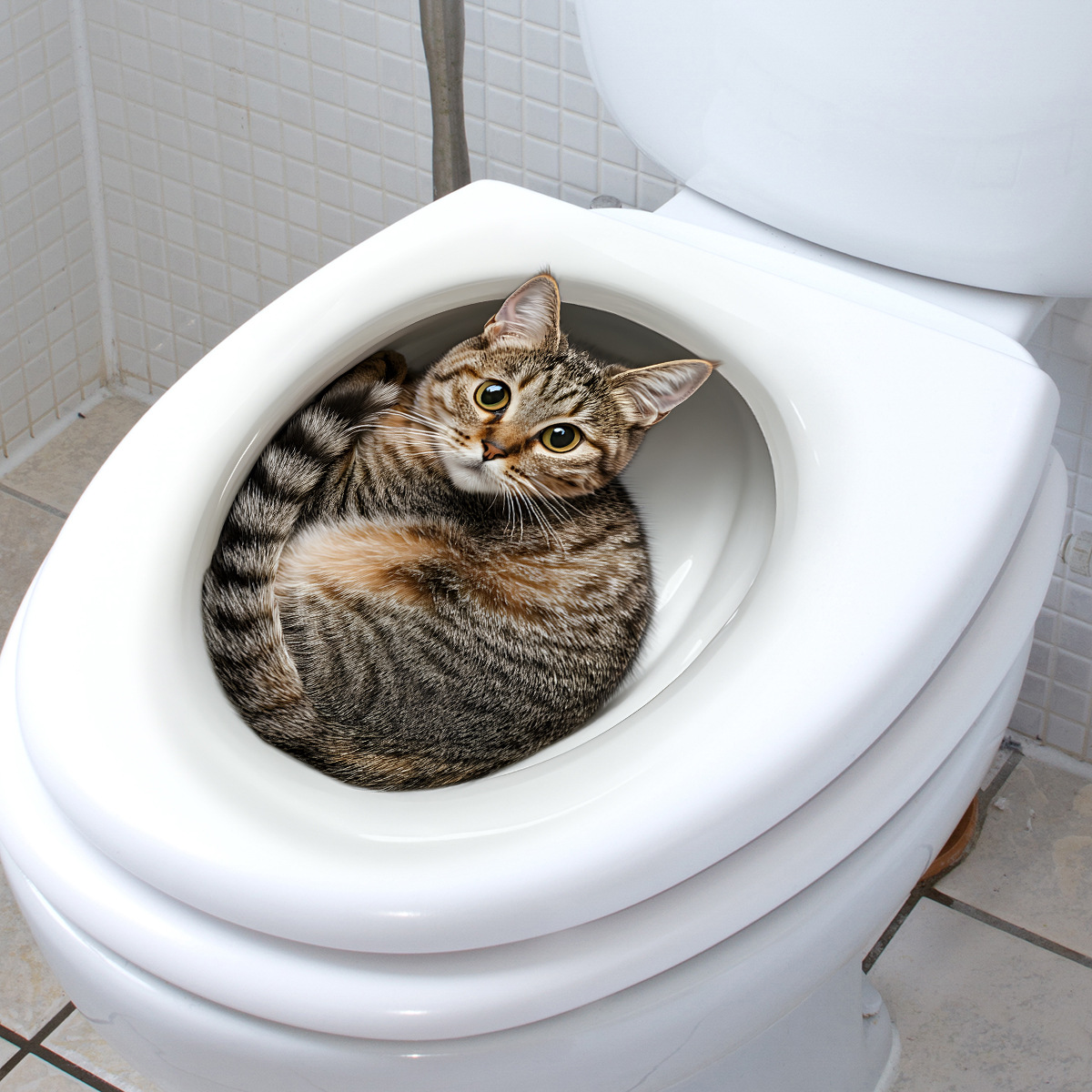 3D Funny Cat Toilet Sticker Ba - Home Bathroom Gadgets avaliação e preço